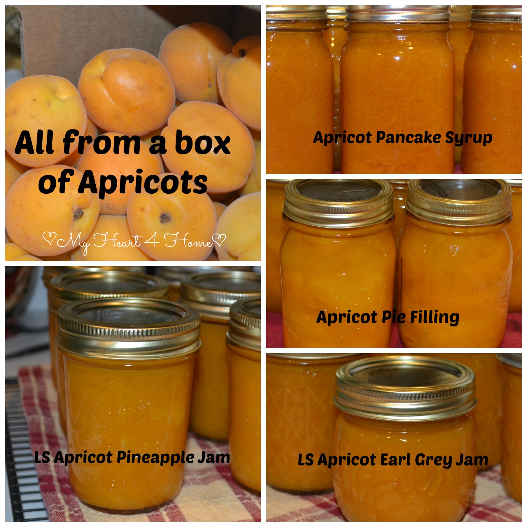 All From a Box of Apricots