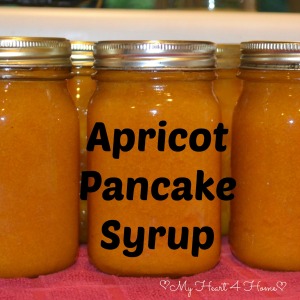 Apricot Pancake Syrup