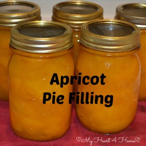 Apricot Pie Filling