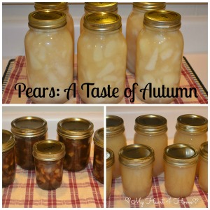 Pears - A Taste of Autumn