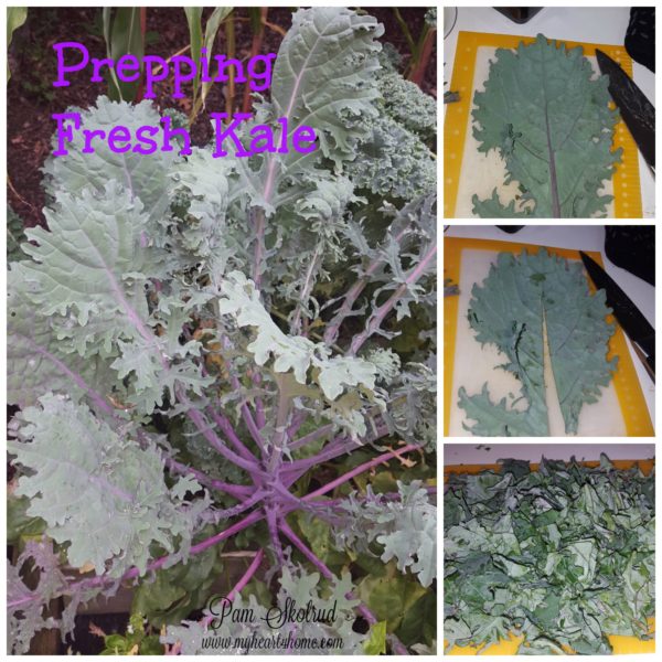 It is easy to grow your own kale, and easy to prep it for soup.