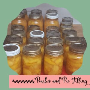 Peaches and Pie Filling