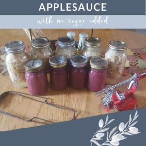 Canning Applesauce