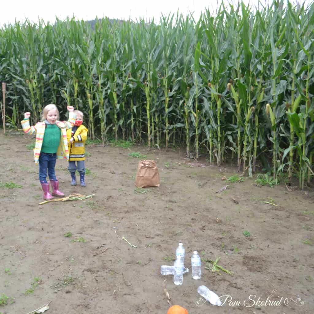 Cider Donuts - Pumpkin Bowling