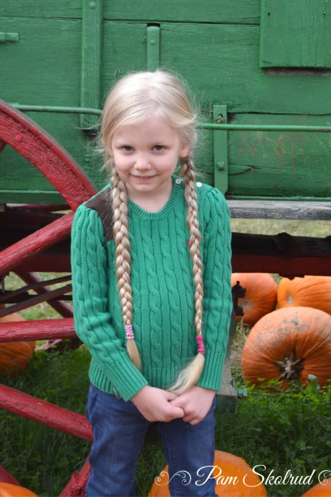 Cider Donuts - Ilona