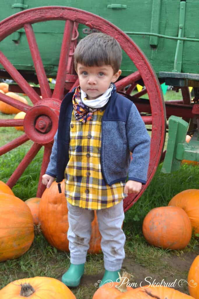 Cider Donuts - Isaac