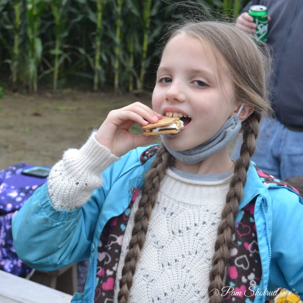 Cider Donut - Nora Smores