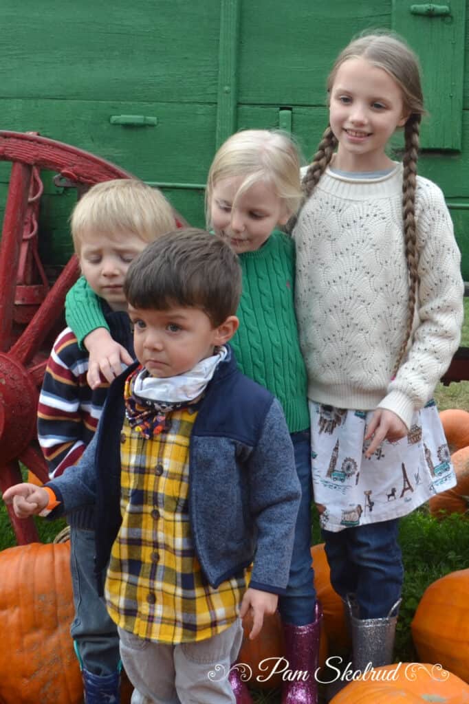 Cider Donuts - Group