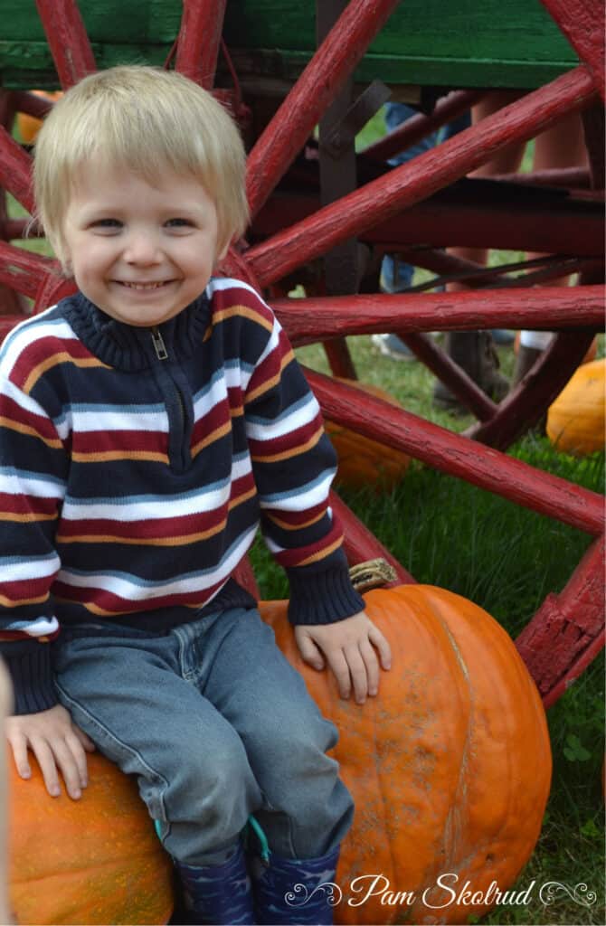 Cider Donuts - Ronan