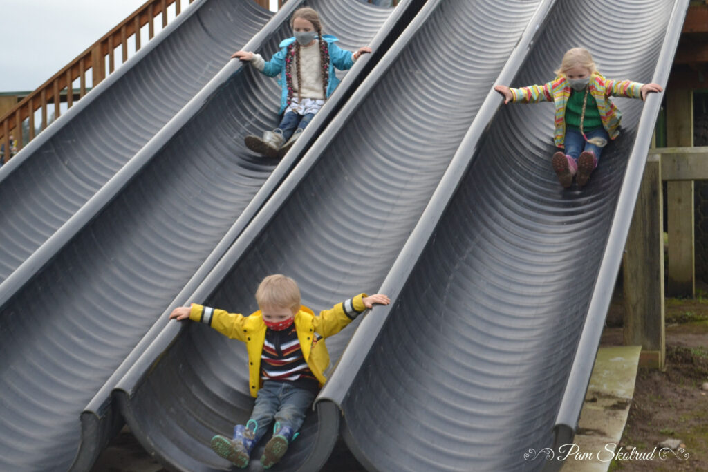 Cider Donuts - Sibling Slide